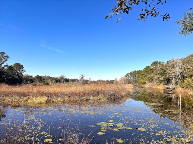 Listing photo 2 for 1903 W Springlake Dr, Dunnellon FL 34434