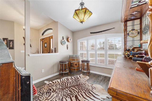 sitting room featuring dark hardwood / wood-style flooring