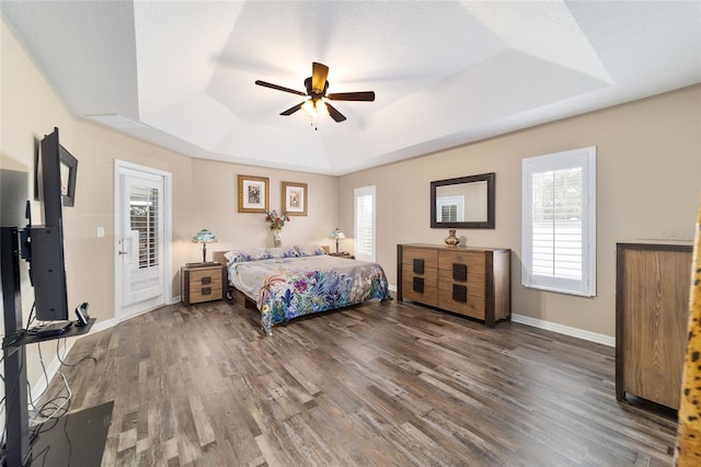 bedroom with a raised ceiling, access to exterior, ceiling fan, and multiple windows