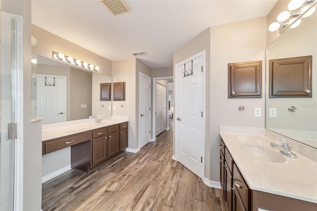 bathroom featuring wood-type flooring and vanity