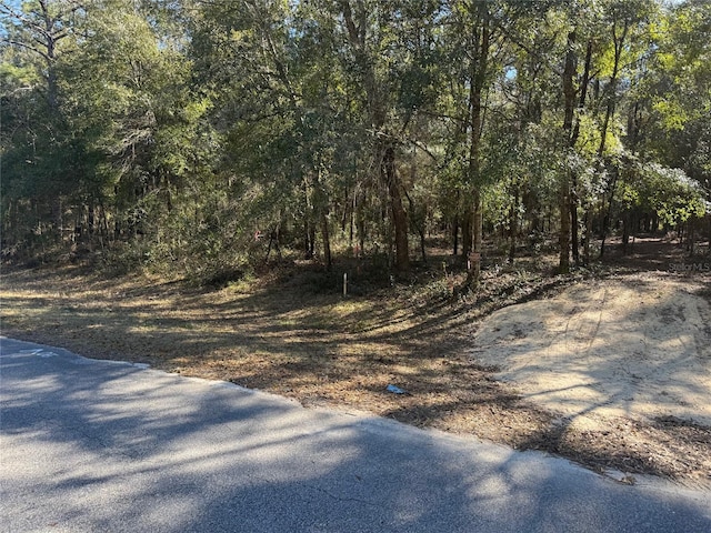 Listing photo 3 for LOT11 SW 54th St, Dunnellon FL 34431