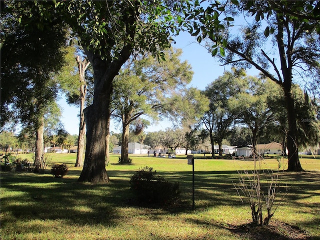 view of home's community featuring a lawn