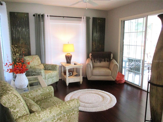 living room with ceiling fan and dark wood finished floors