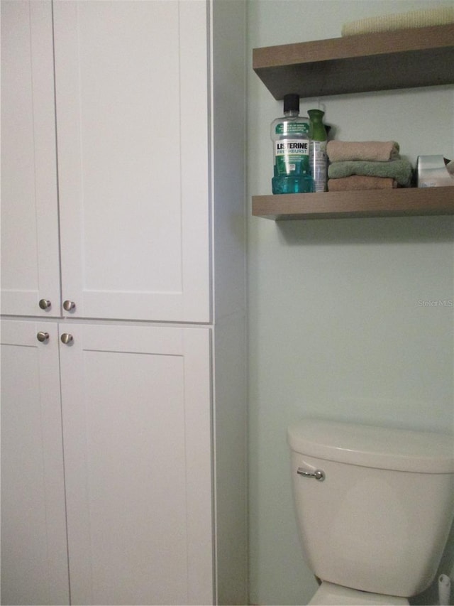 bathroom featuring a closet and toilet