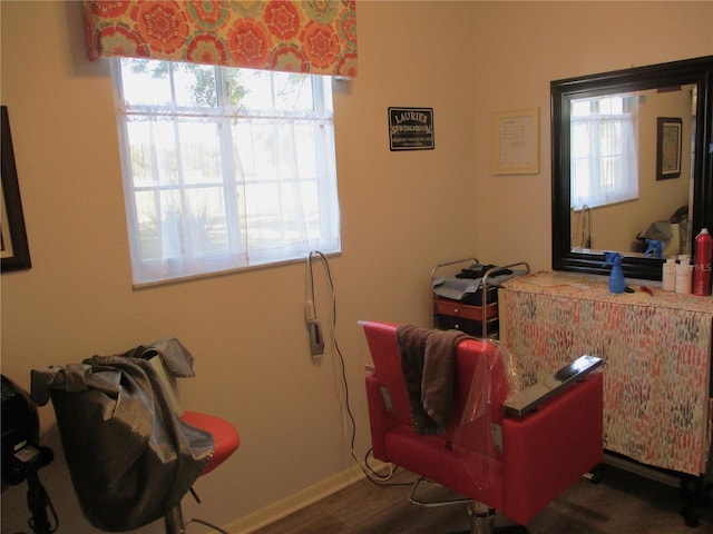 bedroom with multiple windows, baseboards, and wood finished floors