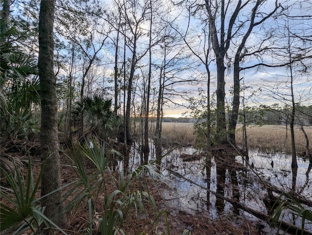 view of local wilderness