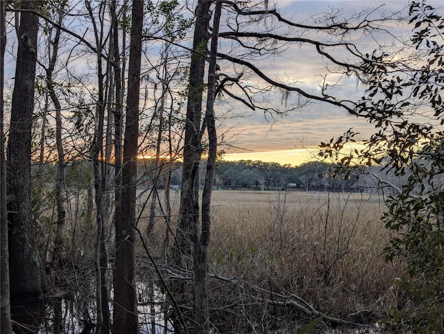 view of nature at dusk