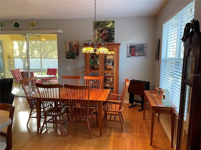 dining space with light hardwood / wood-style floors