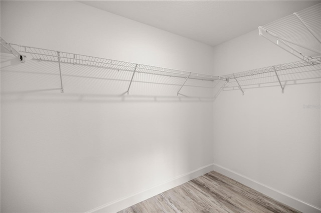 spacious closet featuring hardwood / wood-style floors