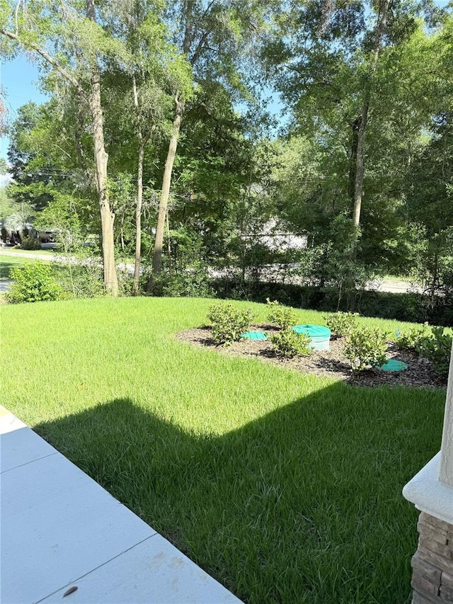 14268 SE 27th Ct, Summerfield, FL 34491 - view of green lawn