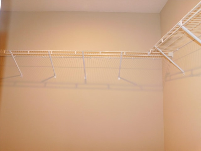 14268 SE 27th Ct, Summerfield, FL 34491 - view of spacious closet
