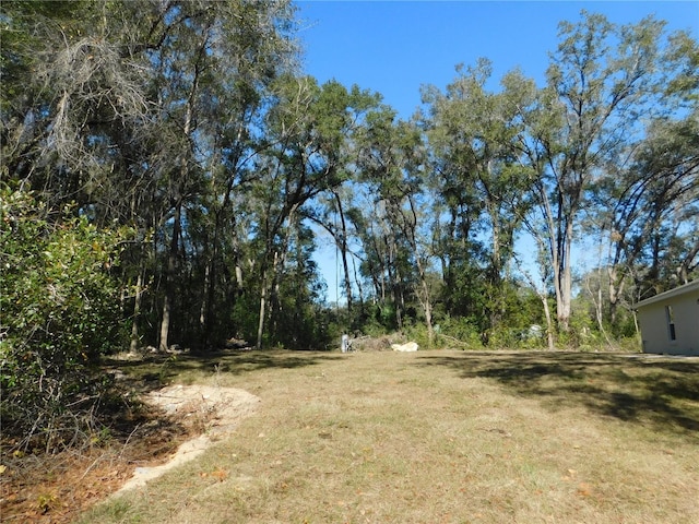 14268 SE 27th Ct, Summerfield, FL 34491 - view of grassy yard