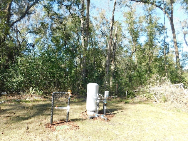 14268 SE 27th Ct, Summerfield, FL 34491 - view of yard