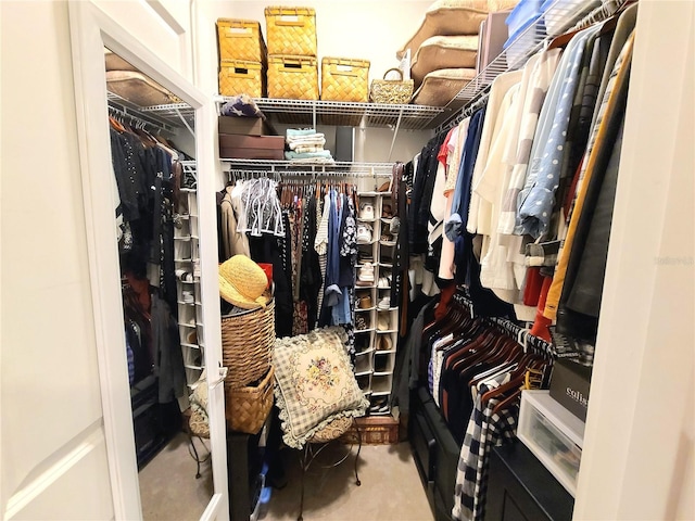 view of spacious closet