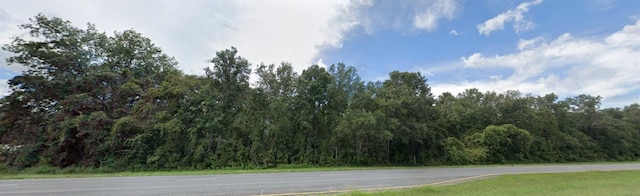 80th, Fanning Springs FL, 32693 land for sale