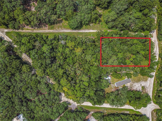 TBD Ne 234th Place Road, Fort Mc Coy FL, 32134 land for sale