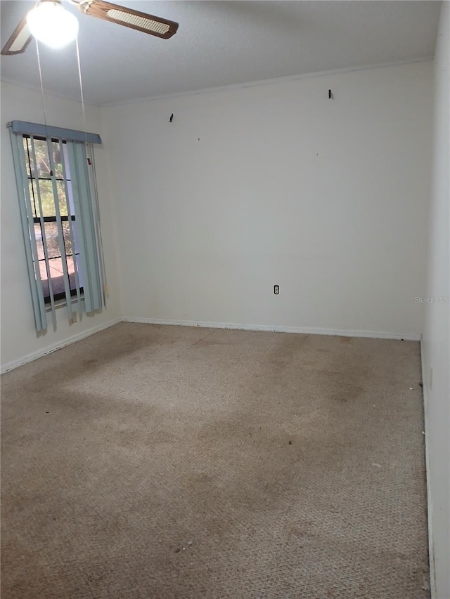 unfurnished room with ornamental molding, ceiling fan, and carpet flooring