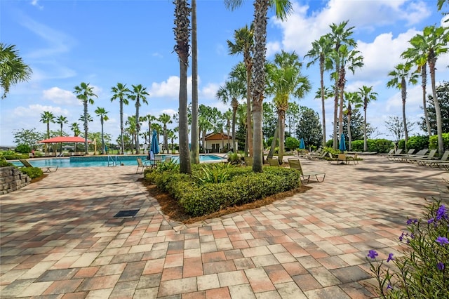 surrounding community featuring a patio and a swimming pool