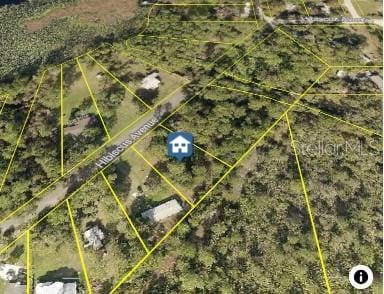 Pennsylvania St, Paisley FL, 32767 land for sale