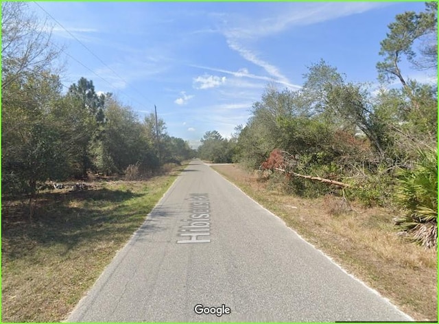 Listing photo 3 for Pennsylvania St, Paisley FL 32767