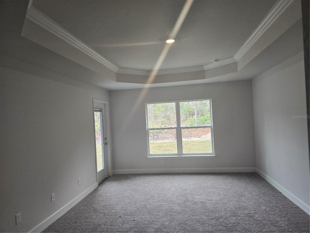 empty room featuring a raised ceiling, crown molding, carpet flooring, and a wealth of natural light