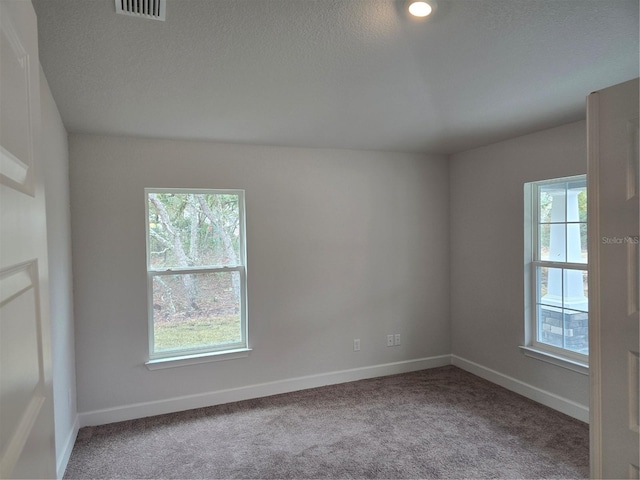 unfurnished room with a textured ceiling, a healthy amount of sunlight, and carpet flooring