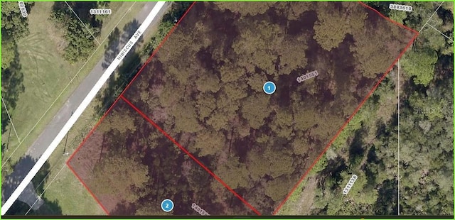 Hibiscus Ave, Paisley FL, 32767 land for sale