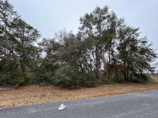 TBD SW 164th Place Rd, Ocala FL, 34473 land for sale