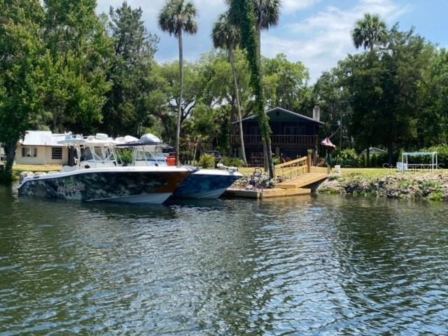 dock area with a water view