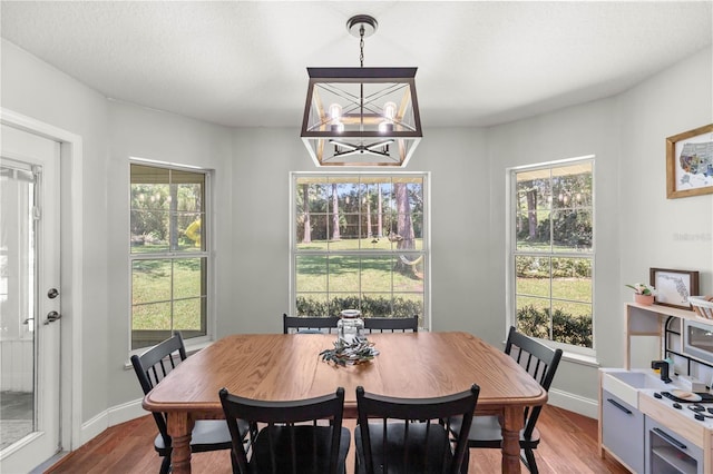 dining area featuring an inviting chandelier and hardwood / wood-style floors