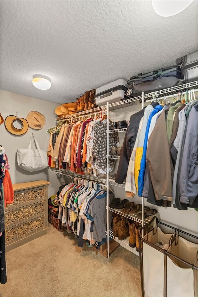 spacious closet featuring light colored carpet