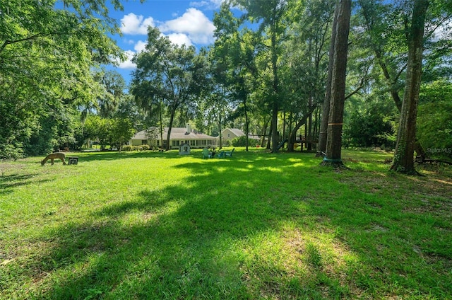 view of yard