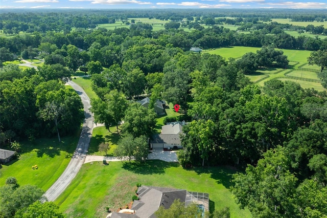 aerial view