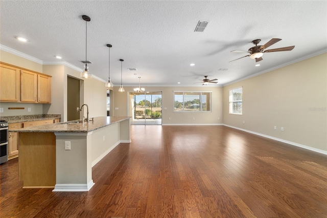 kitchen with sink, dark hardwood / wood-style flooring, light stone counters, an island with sink, and light brown cabinetry