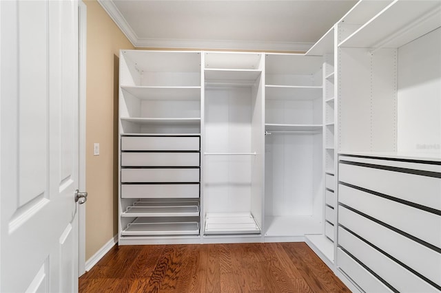 walk in closet featuring wood-type flooring