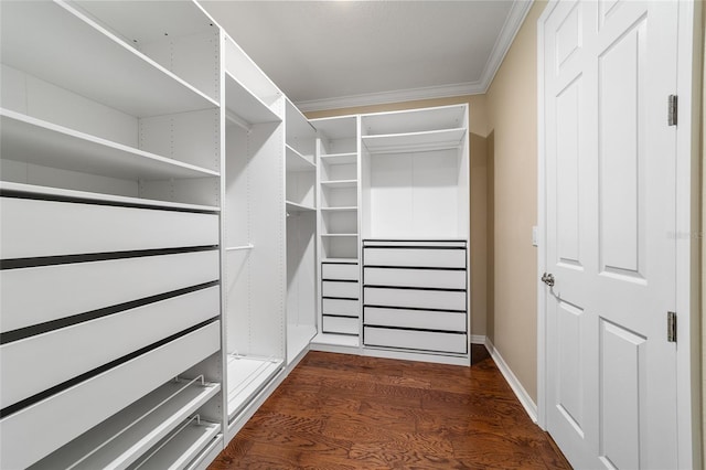 spacious closet featuring dark wood-type flooring