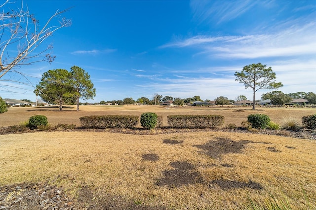 view of yard with a rural view