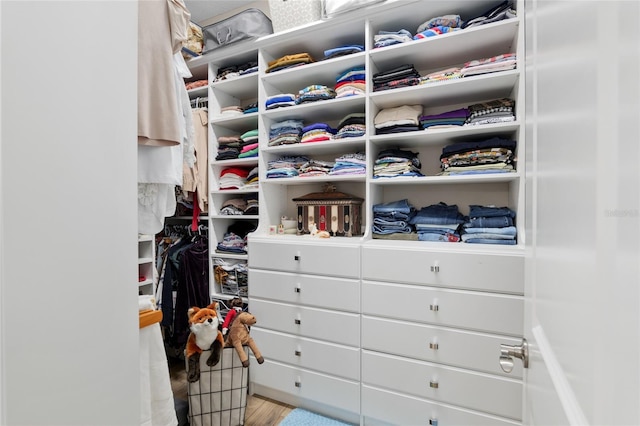 walk in closet with wood finished floors