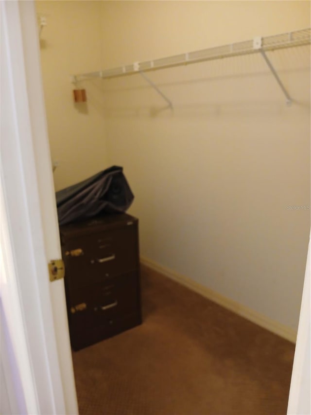 view of walk in closet