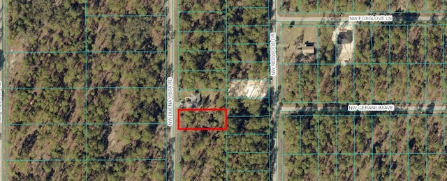 00 NW Buena Vista Rd, Dunnellon FL, 34431 land for sale