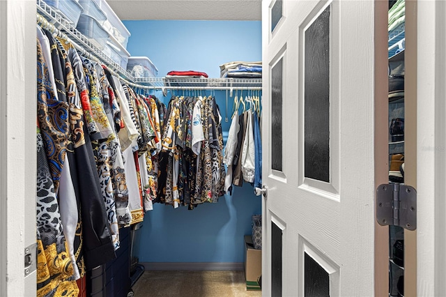 view of spacious closet