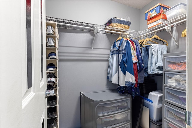 view of spacious closet