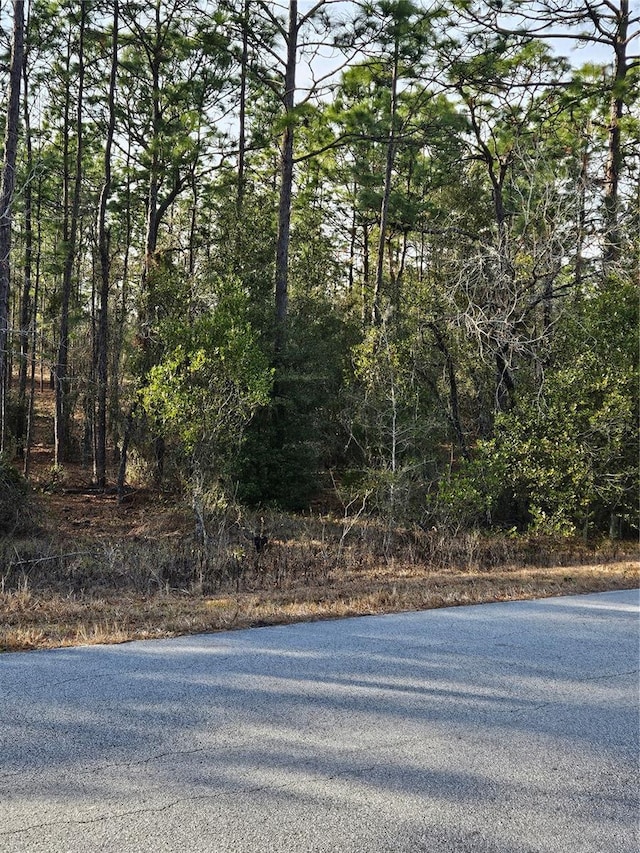 Listing photo 2 for SW Admiral Landing Dr, Dunnellon FL 34431