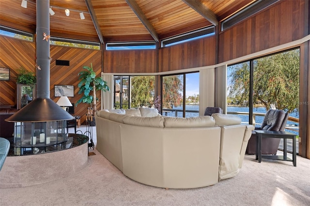 carpeted living room featuring wooden walls, a wood stove, wooden ceiling, and a water view