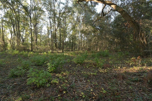 view of landscape