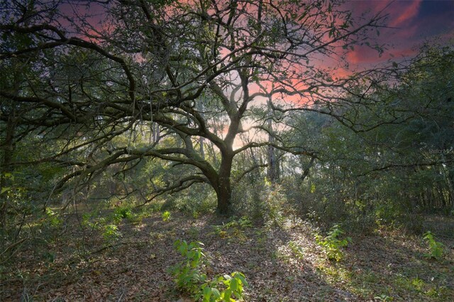 view of nature at dusk