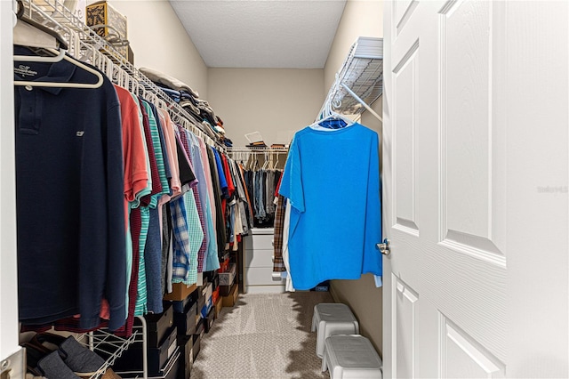 spacious closet with carpet floors