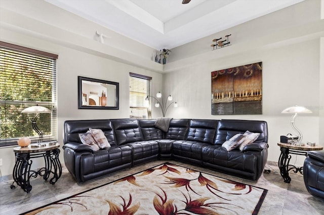 living room featuring a raised ceiling