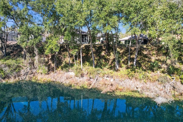 view of yard with a water view