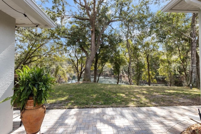 view of yard featuring a patio area